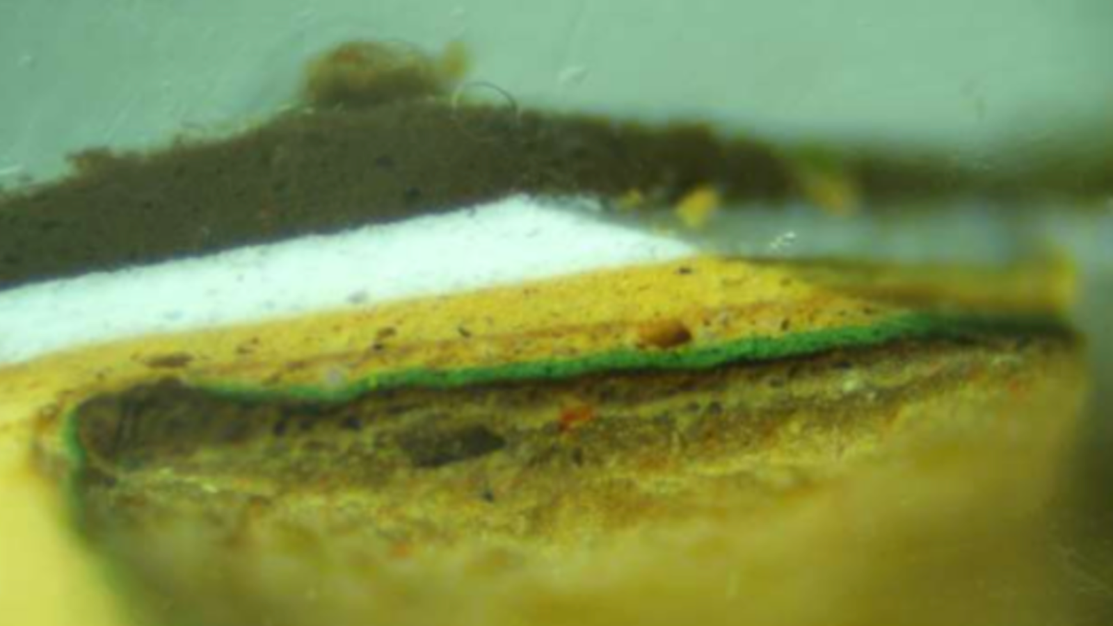 Microscopic view of a paint sample from the north elevation window sill of the Schwartz Family House