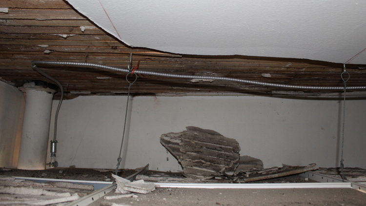 Fascinating Research Found During The Plaster Ceiling Project