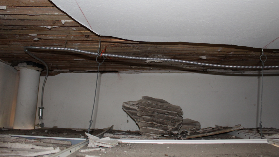 Fascinating Research Found During The Plaster Ceiling Project